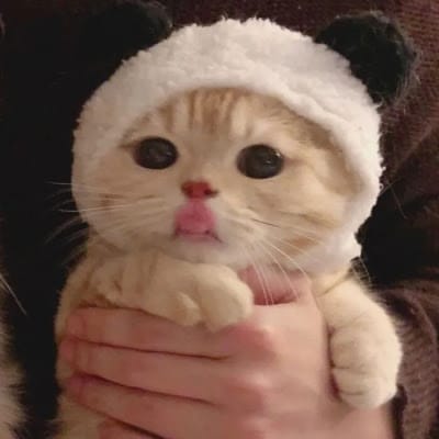 Aurelie Hermansyah avatar